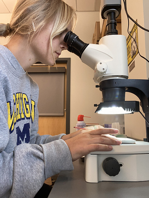 Kesley Engelke'25 looking into a microscope in the geology lab.