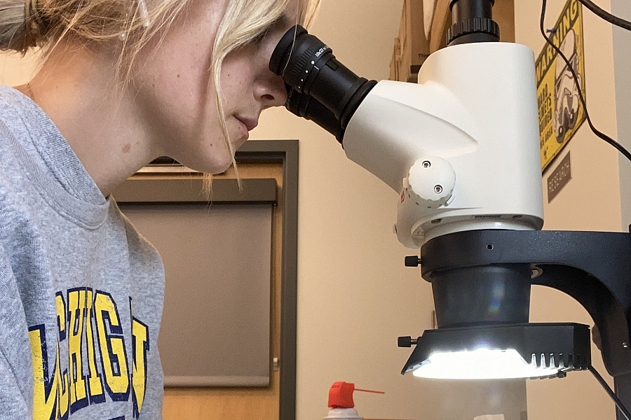 Kelsey Engelke'25 conducted research in the geology lab on campus with samples she collected during her field work.