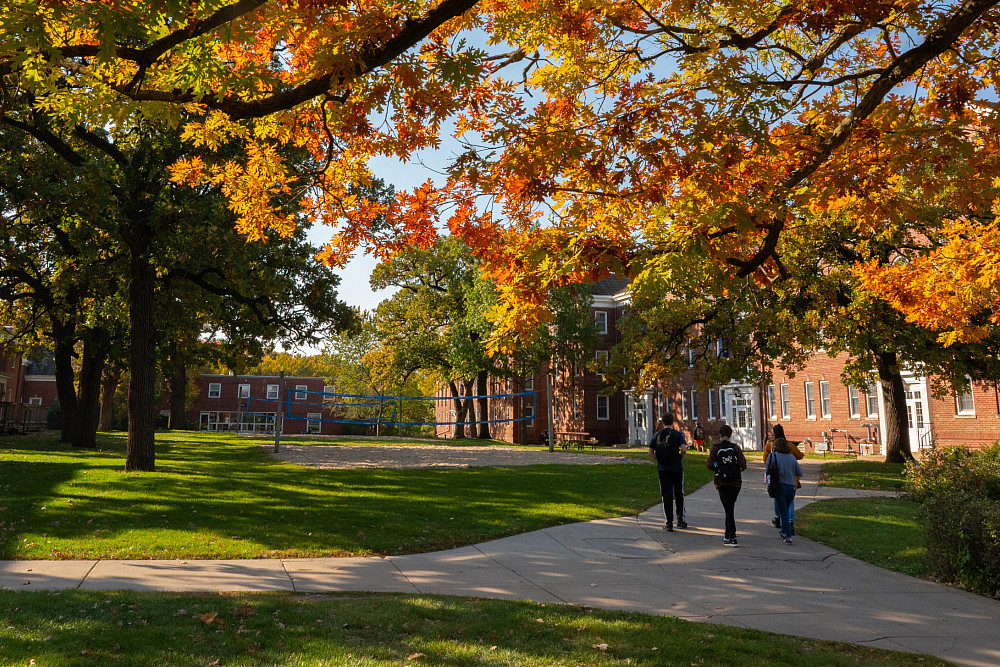 Students walk together to class under the autumn foliage.