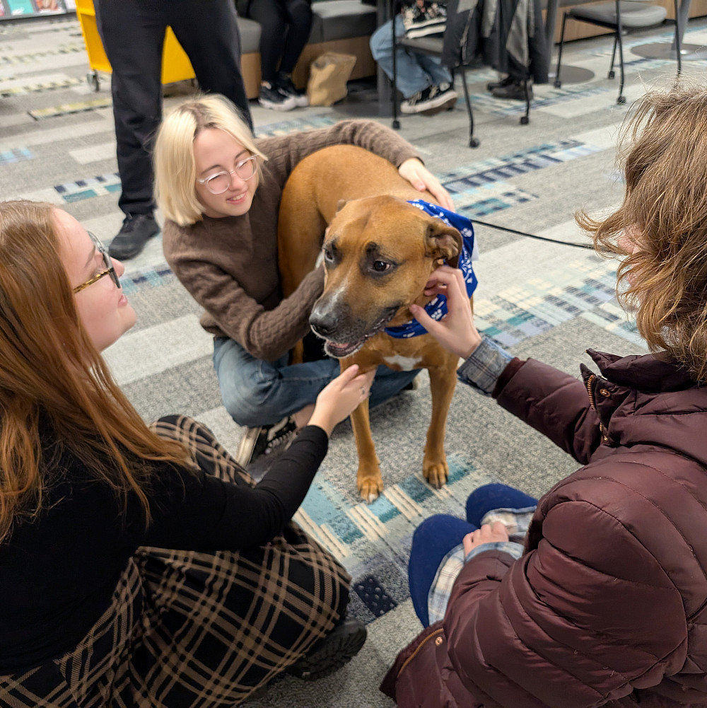 PXL 20241205 212104689.MP Photo of students petting therapy dog Aspen in the library.