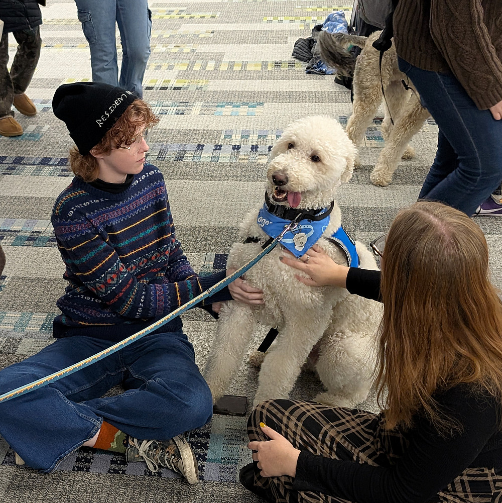 PXL 20241205 211718309.MP Photo of students petting therapy dog Odin in the library.