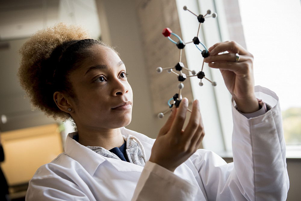 Students study and identify various molecules in Organic Chemistry course work.
