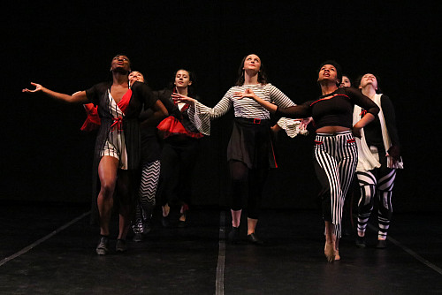 ScatCatGroove is performed at the annual Chelonia Dance Concert event