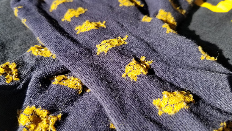 Beloiters lovingly wear out their turtle socks. Take this pair from Nick Mischler'14, which he brought to Japan while studying abroad.