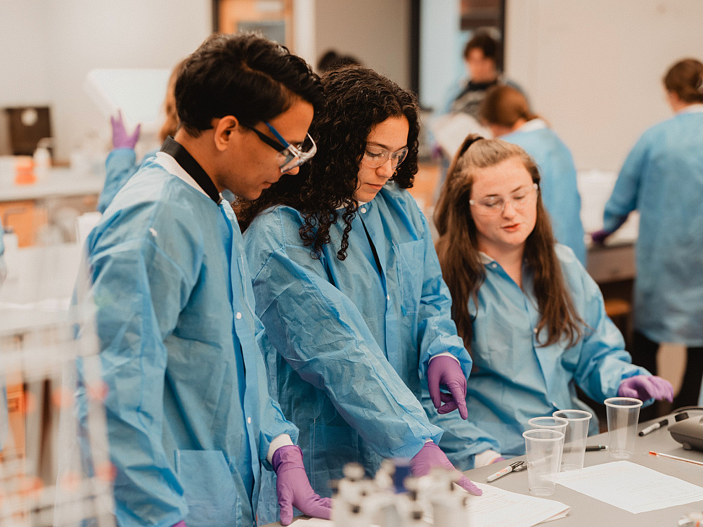 Students work together in a cell biology lab session.