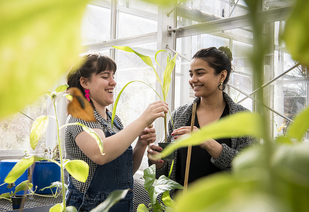 Two students work together in the Science Center greenhouse.