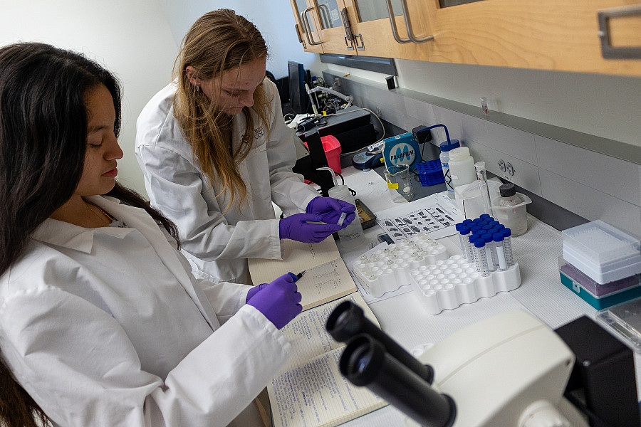 Students working in the lab