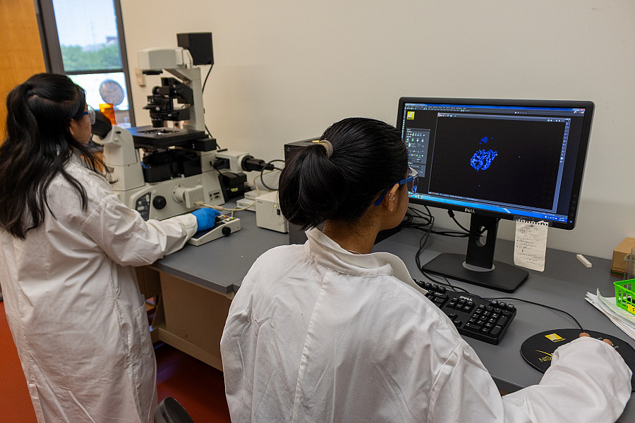 Students using an Invert Microscope.