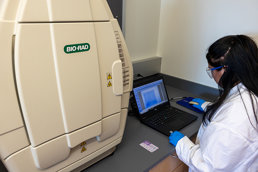 Students using a gel imaging system.