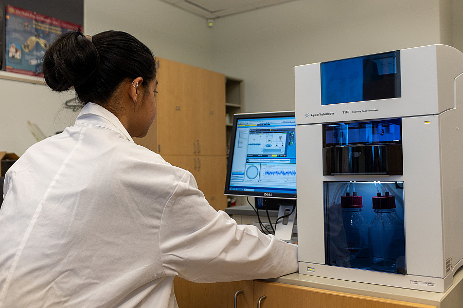 Students using a Capillary Electrophoresis (CE) instrument.