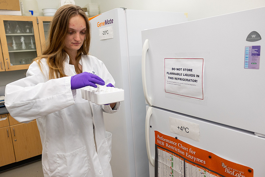 Students taking samples from a freezer.