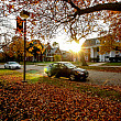 Fall colors outside the Greek houses on College Street of Beloit College campus.