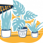 A series of potted plants with a “Beloit” pennant.