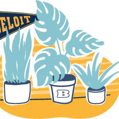 A series of potted plants with a “Beloit” pennant.