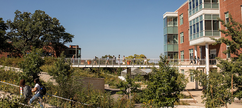 Students on the Sanger Science Center bridge