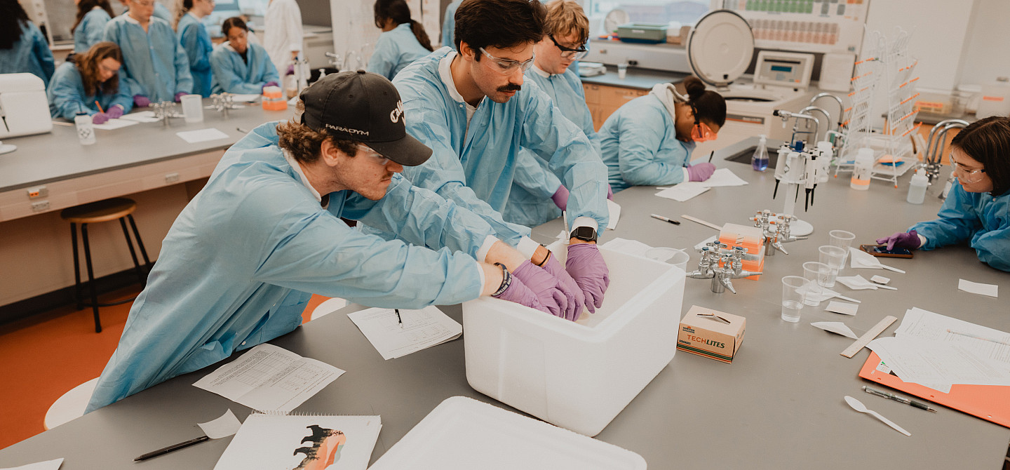 Students working in biology lab.