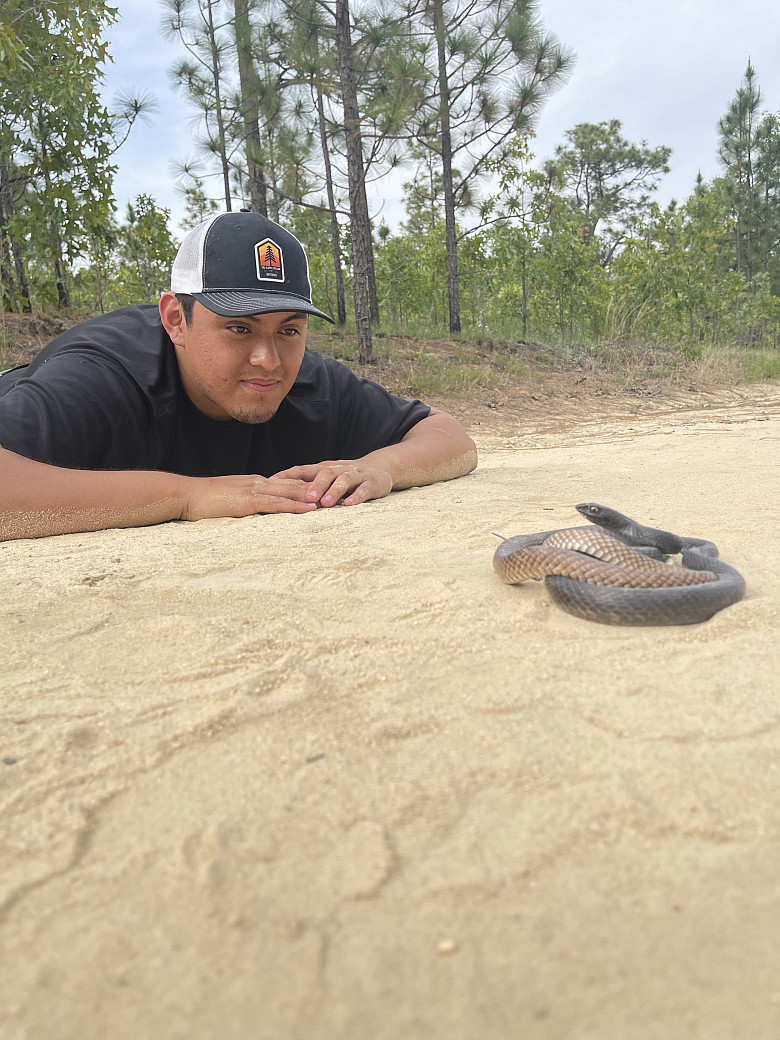 Former student lays on his stomach to examine a snake in the sand