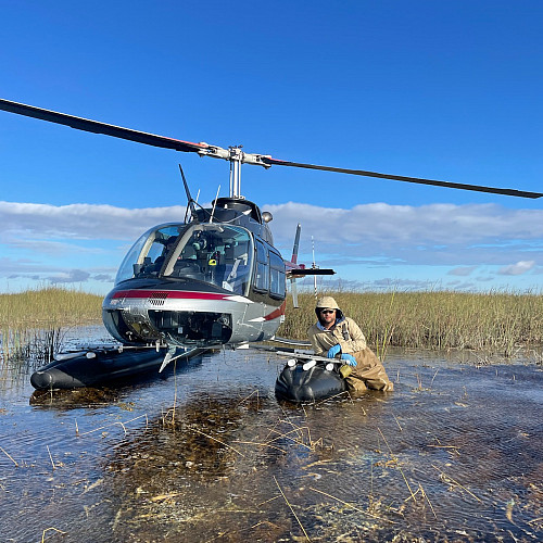 Marcos Arroyo'16 collecting water samples, surveying vegetation, and using a sonde to measure water quality.