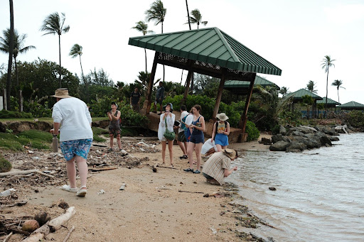 Examining shoreline erosion, Playa Isla de Cabras