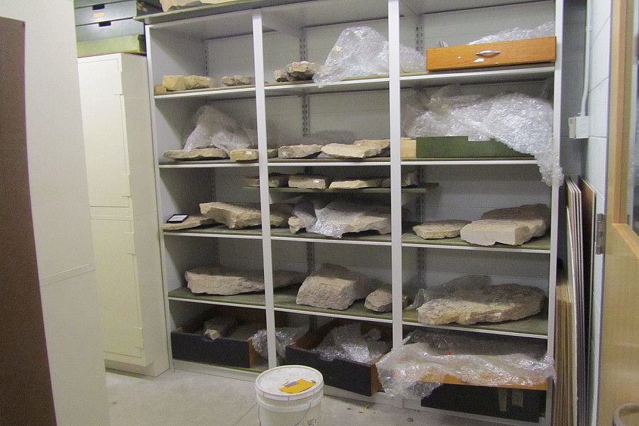 The Geology Department's rock collection is stored in the basement of the Sanger Center for the Sciences.