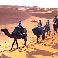 2002 Estonia-Morocco Program Students on an Excursion