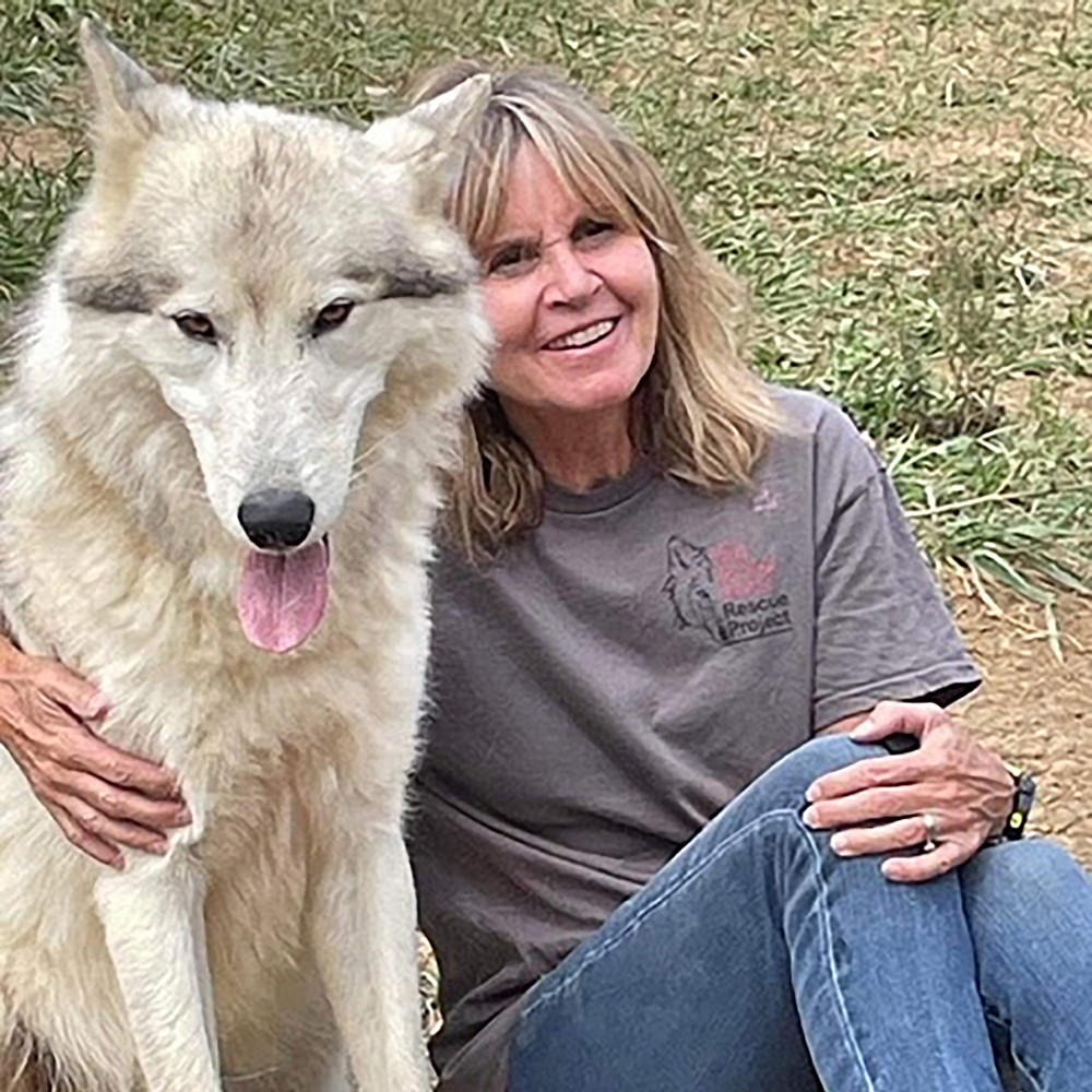 Class Notes - Susan Turner Vogt'83 and Spike Susan Turner Vogt'83 and wolfdog Spike