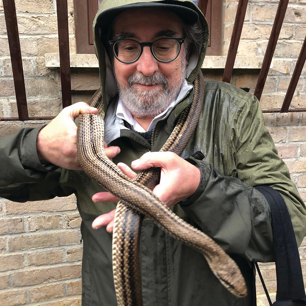Steven S. Hall '73