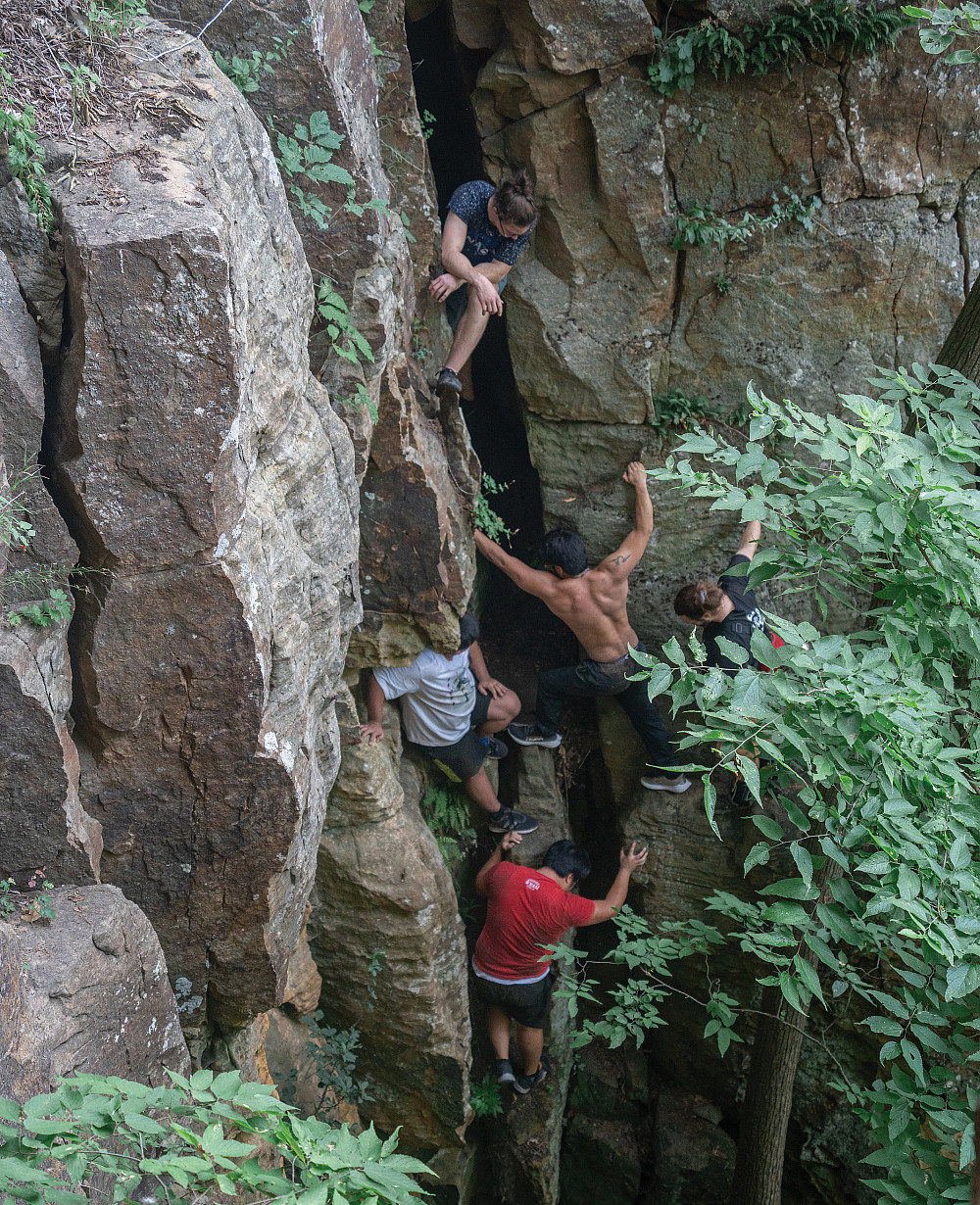 Sigfreed climbs Gibraltar Rock in Columbia County, Wisconsin.