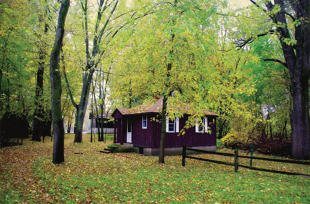 Lorine Niedecker's cabin in fall.