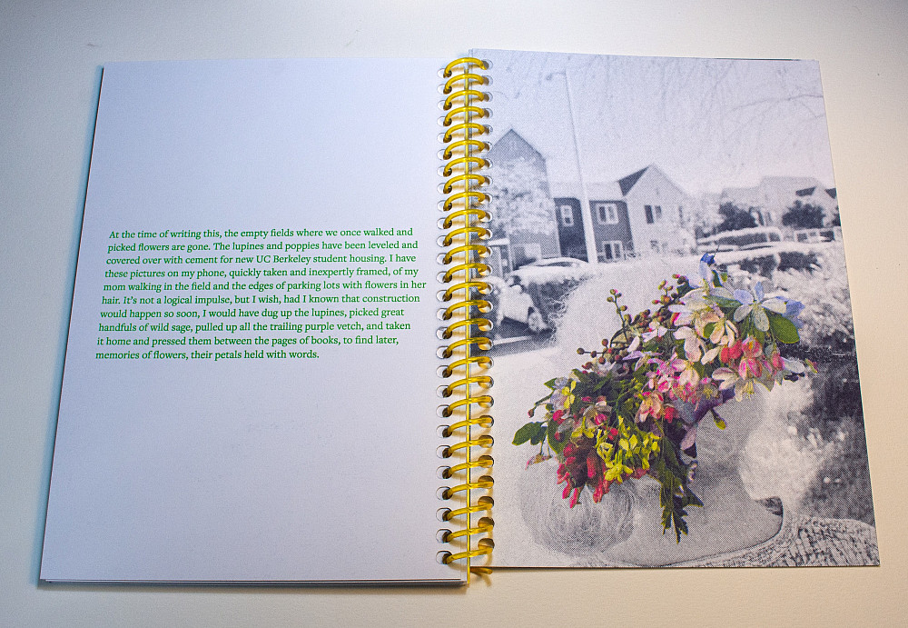 An inside page of Dandelions by Erin McCluskey '01, describing the changes of landscape around UC Berkeley.