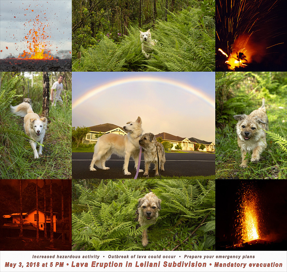 Melissa's new project juxtaposes before-and-after photographs with real-time warnings, work that helped her and her dogs cope with the na...