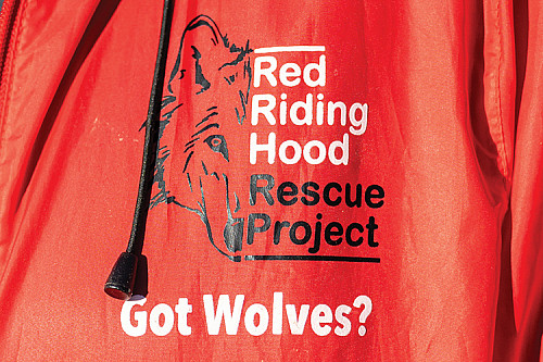 Logo for Red Riding Hood Rescue Project, reading Got wolves?