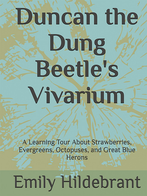 Duncan the Dung Beetle's Vivarium by Emily Hildebrant '04