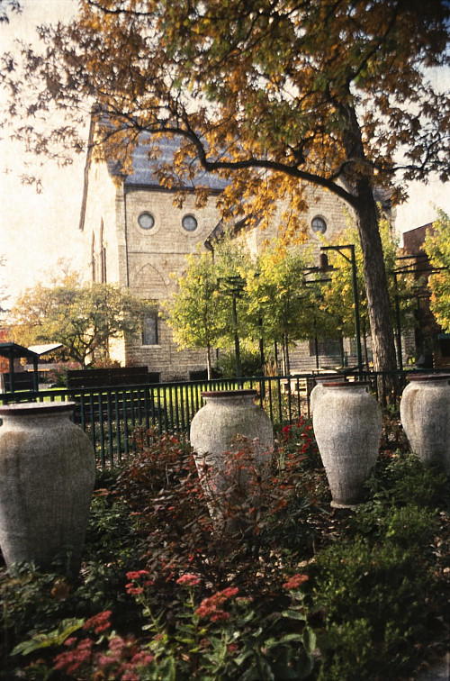 Autumn foliage in the Poetry Garden.
