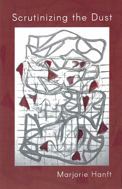 Scrutinizing the Dust by Marjorie Hanft '76