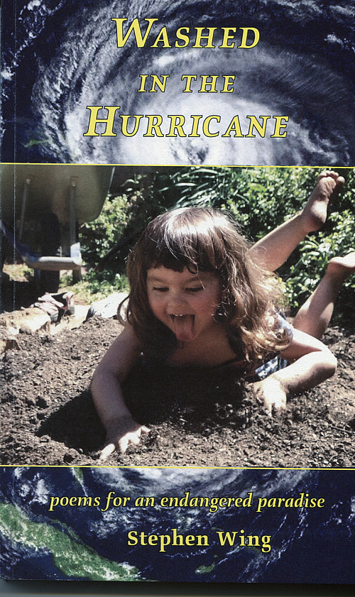 Washed in the Hurricane by Stephen Wing '78
