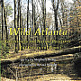 “Wild Atlanta” by Stephen Wing’78