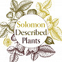 “Solomon Described Plants: A Botanical Guide to Plant Life in the Bible” by Lytton John Musselman’65