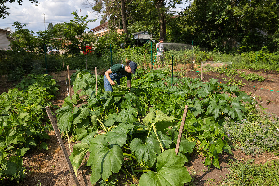 Closing the loop: kitchen scraps from the dining hall are composted at the Beloit Urban Garden, which provides produce for the college.